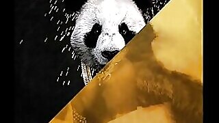 Desiigners Panda V-mix leder till het rub-down, JLENS-remixen misslyckas